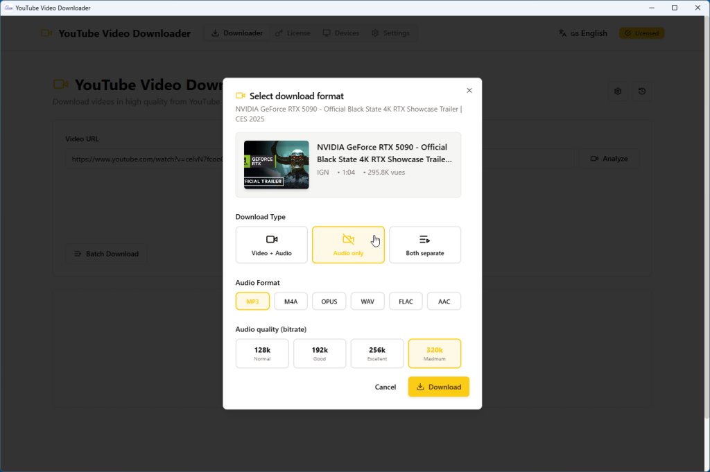 Selection window showing audio only option with MP3 format and maximum 320k quality selected